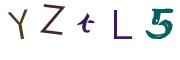 圖片的 CAPTCHA